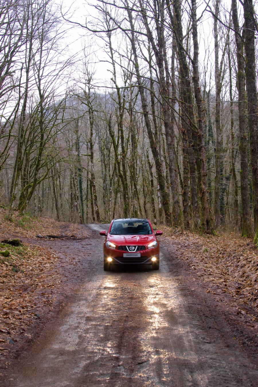  Nissan Qashqai 2010 года  (фото 90 из 204)